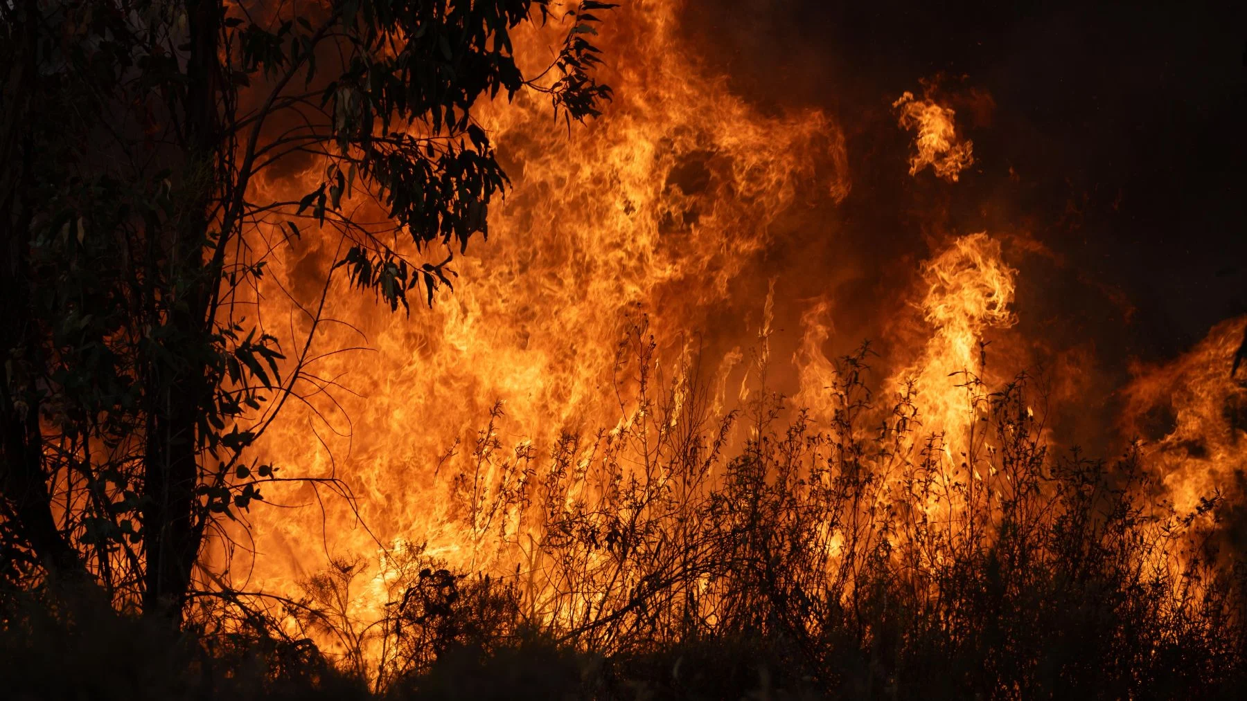 The fire of the Huelva fog already exceeds the affected 20,000 hectares