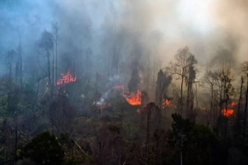 After Meeting Prabowo, BMKG Says Indonesia Has Entered Strong El Nino Phenomenon