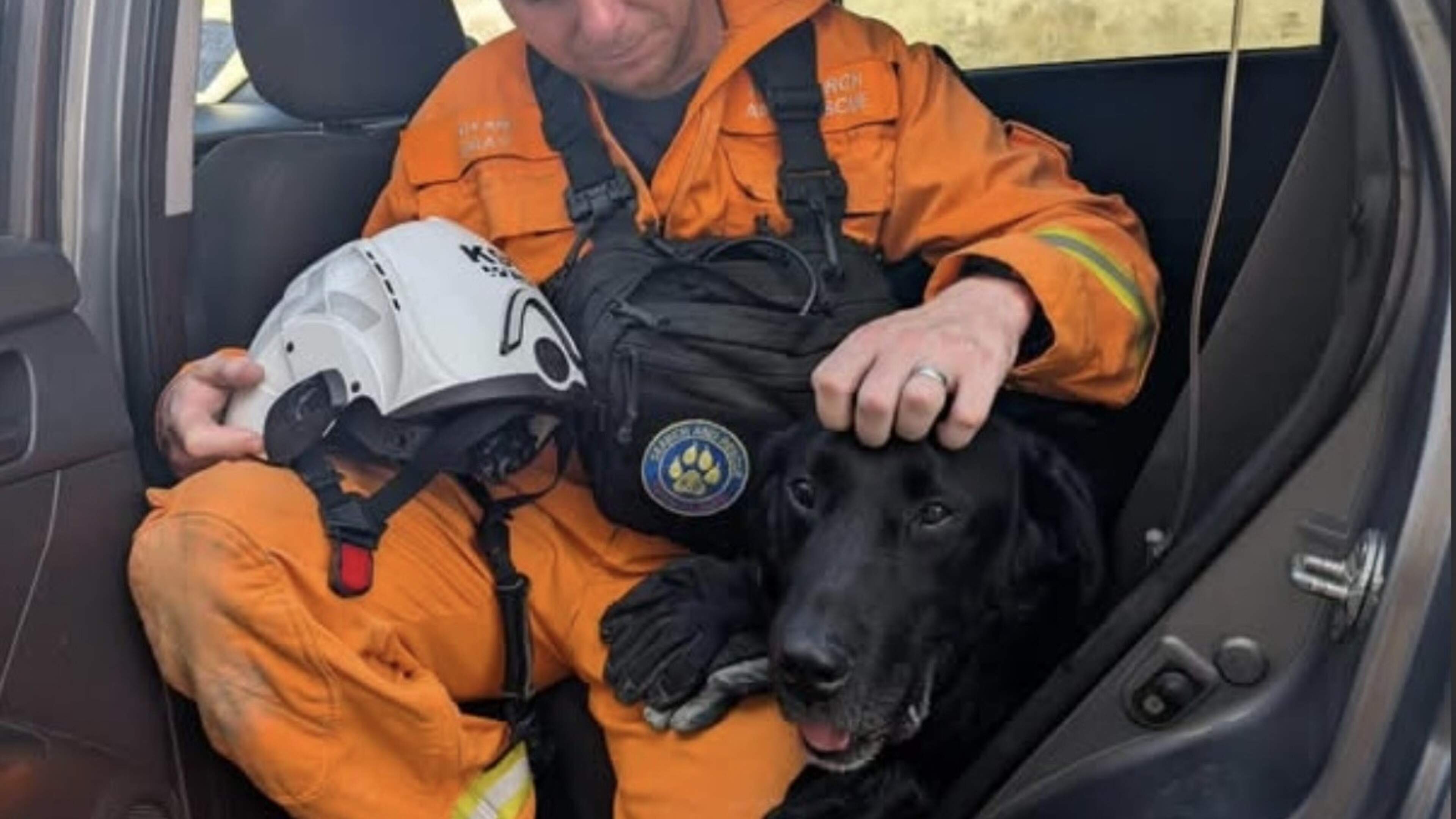 Search dog Max put on IV drip in Venezuela as Northern Ireland rescue team fights earthquake devastation