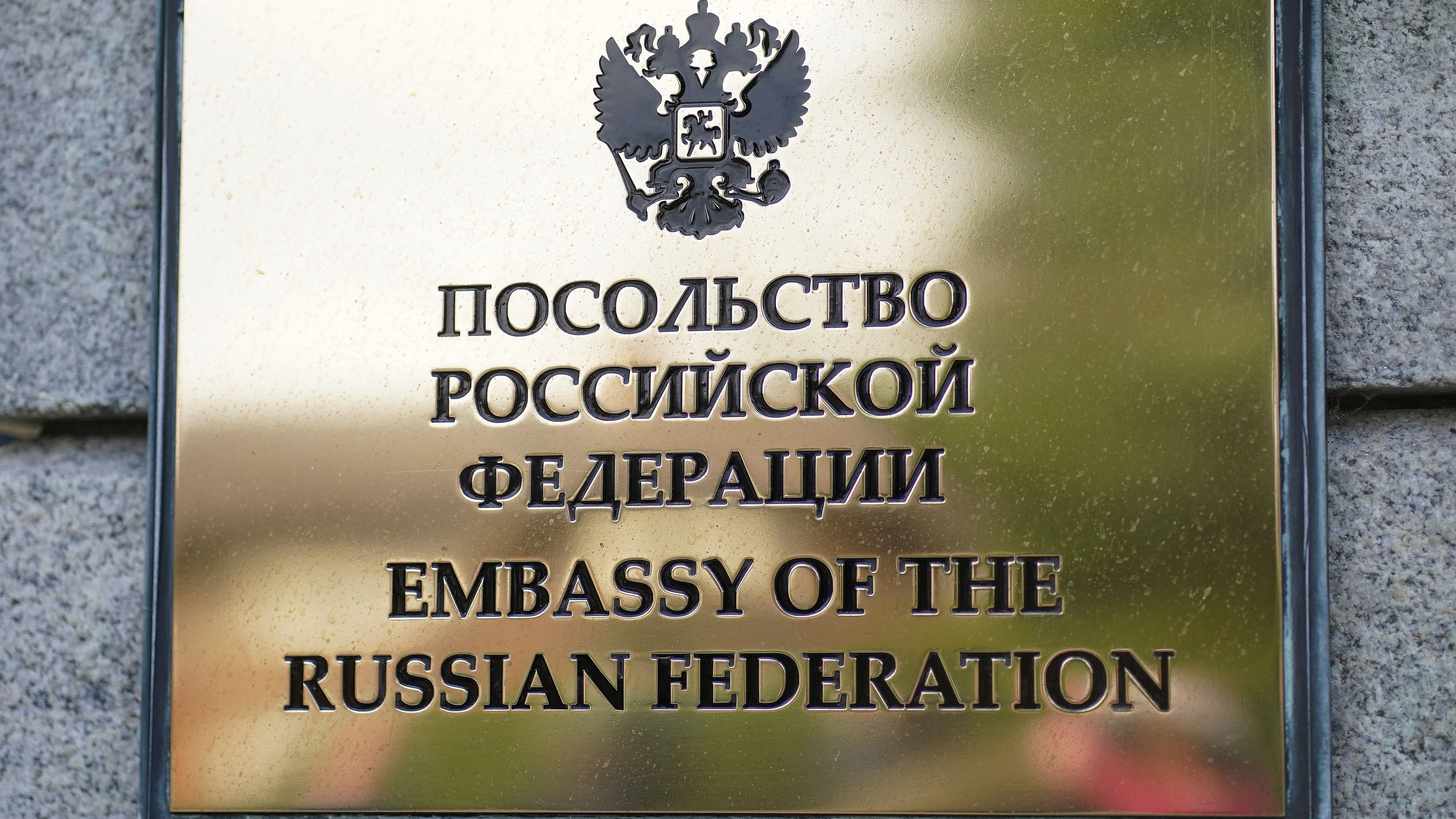 EU needs to reduce number of visas given to Russian citizens, says commissioner