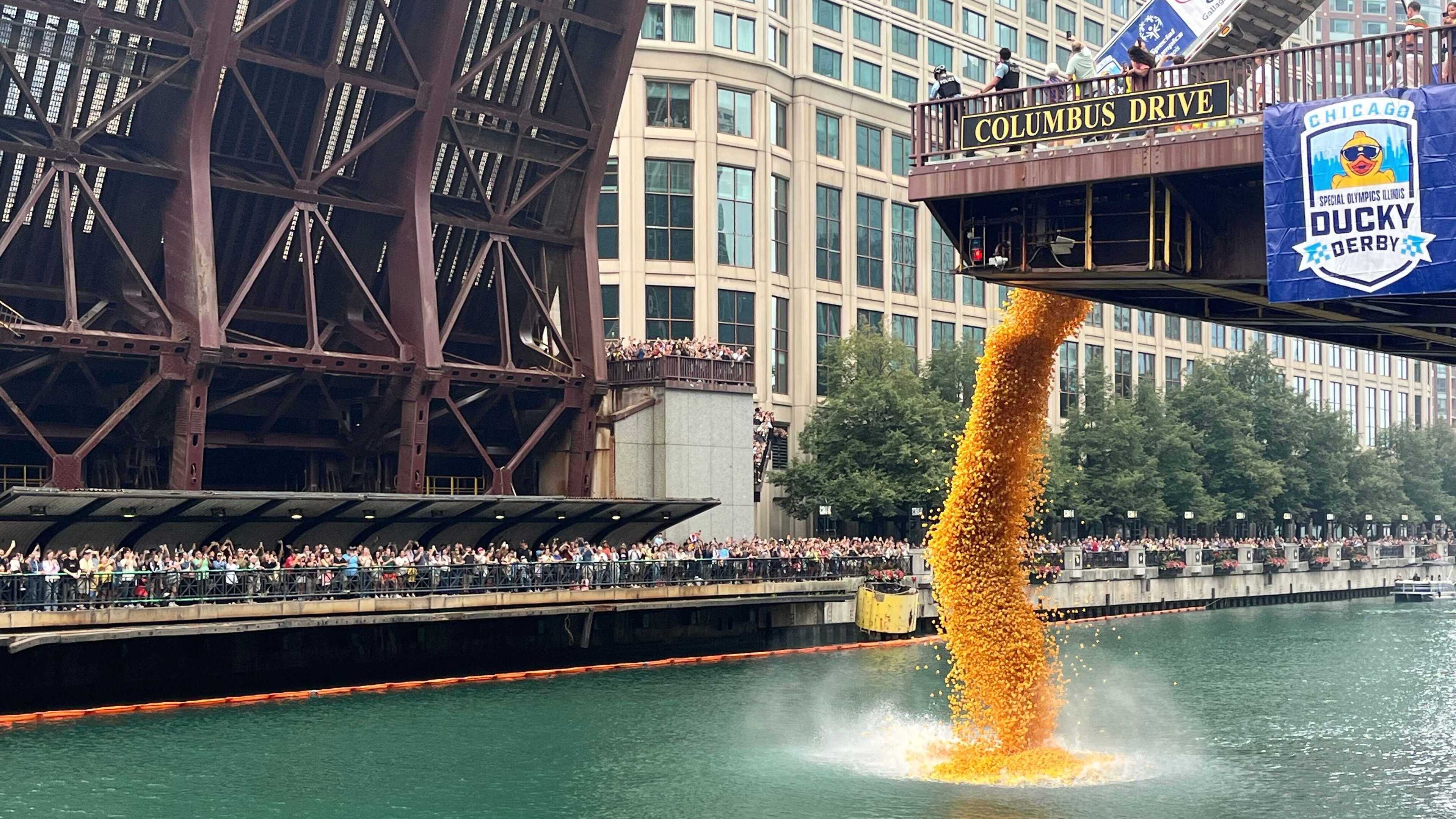 90,000 rubber ducks splash into Chicago River for Ducky Derby fundraiser