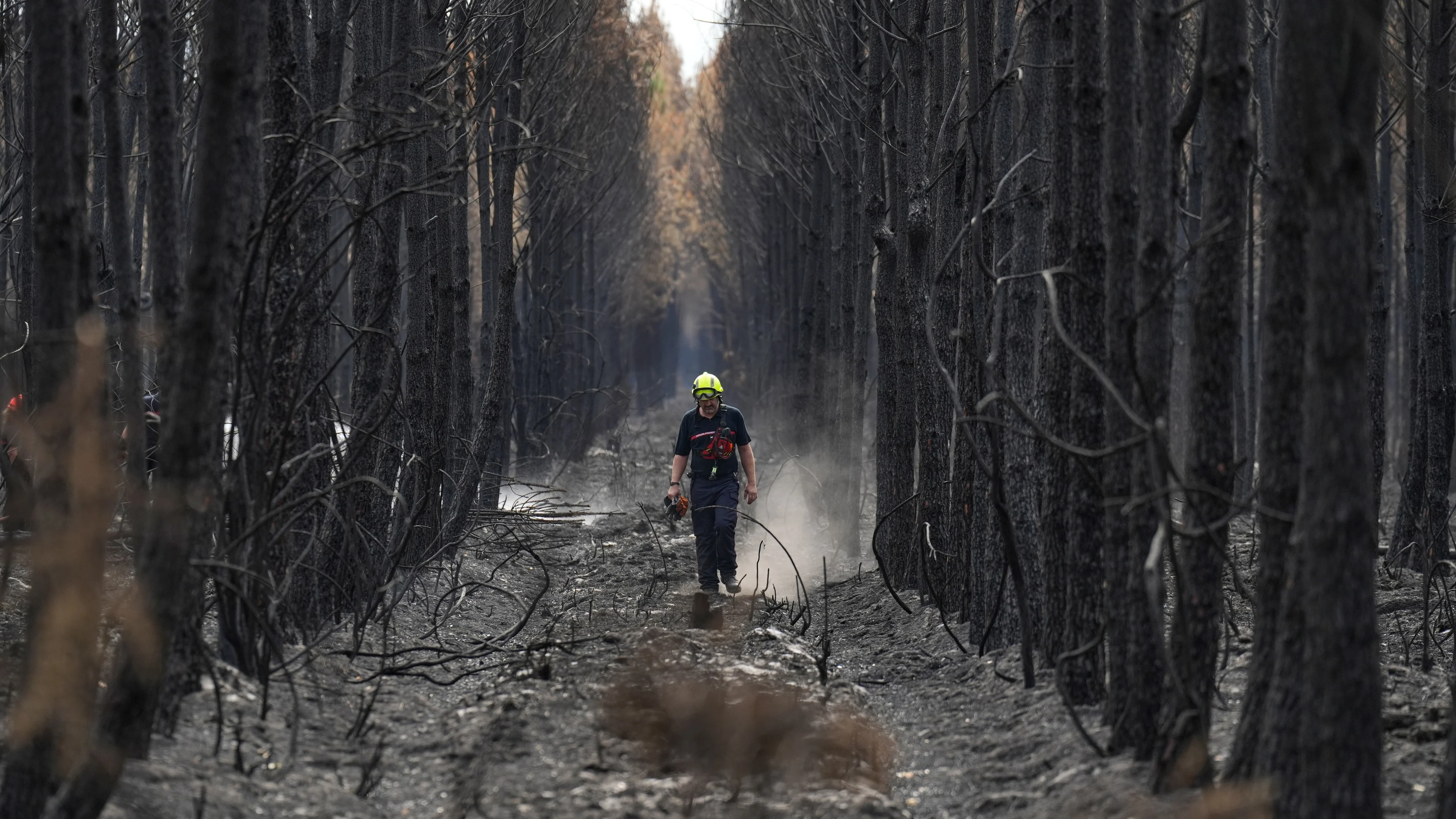 Wildfire near Bordeaux contained as 1,500 firefighters battle blaze in Provence