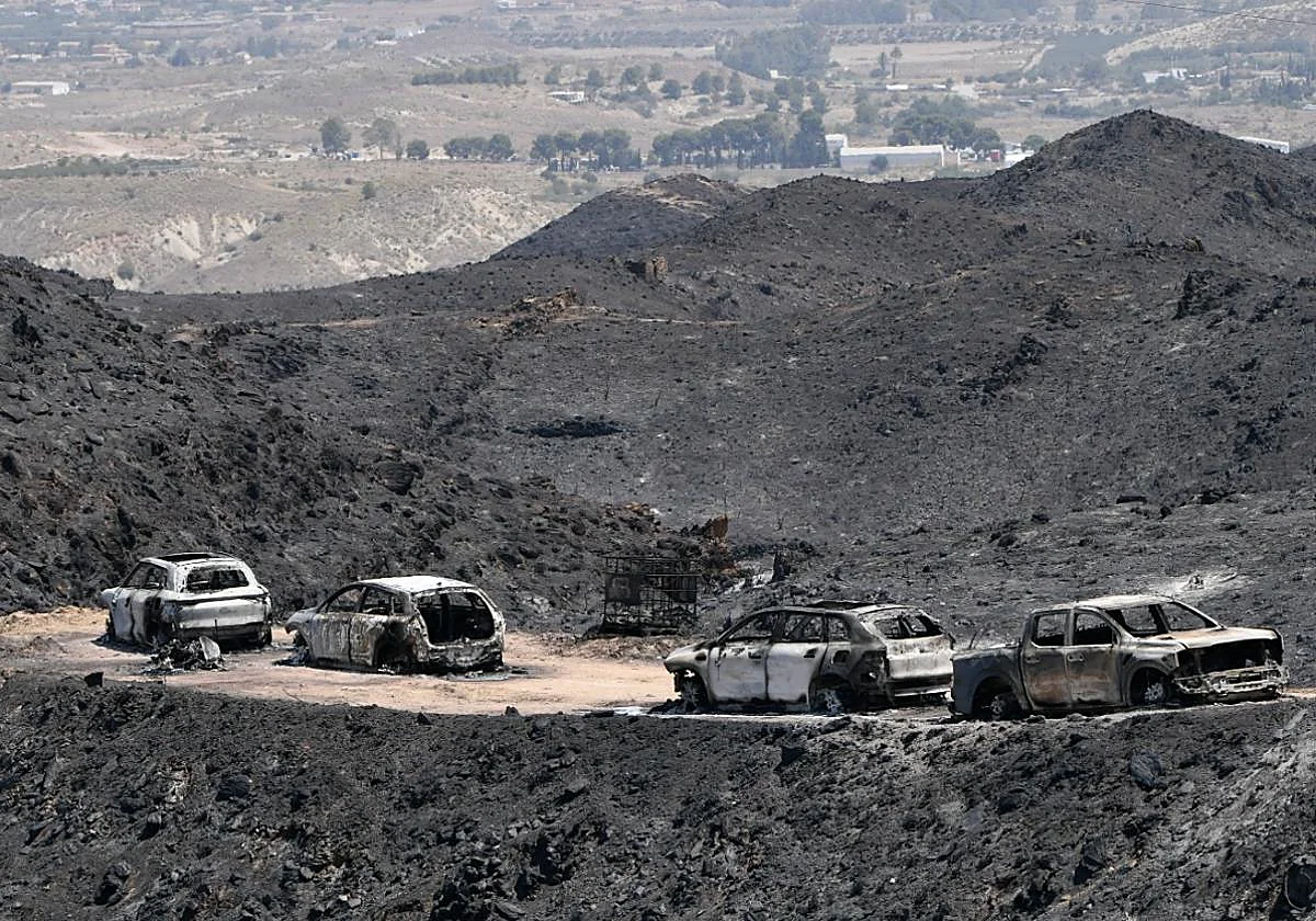 Thus we have narrated the tragic forest fire in Los Gallardos, the worst of the century in Spain