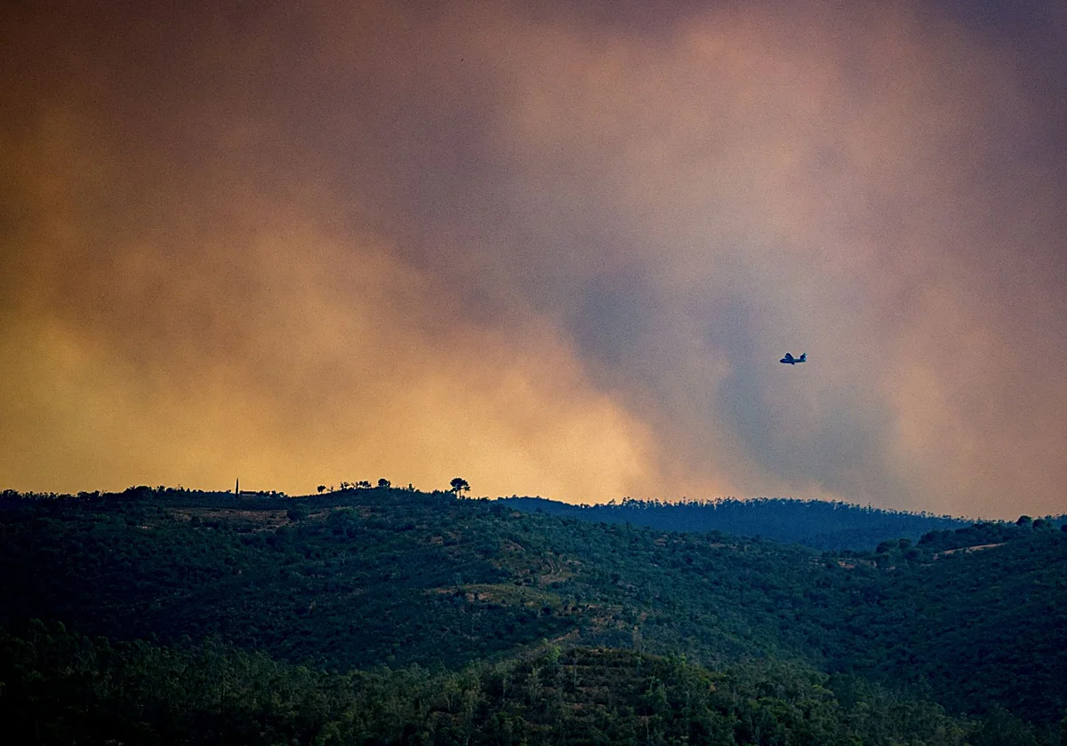 The fog fire is "out of the extinction capacity"