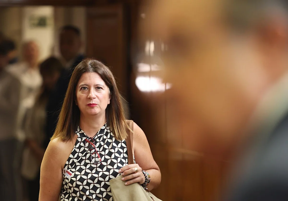 Judge Zamarriego points to people with greater "hierarchy" within the Leire case framework