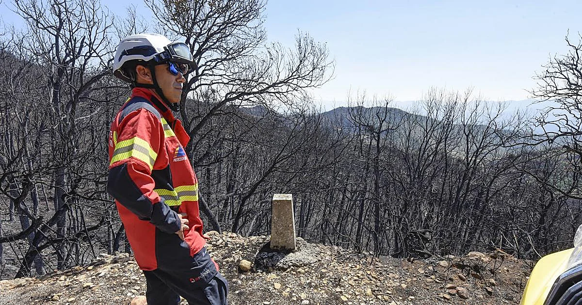 A firefighter from the Zaragoza City Council dies during the extinction of an urban fire