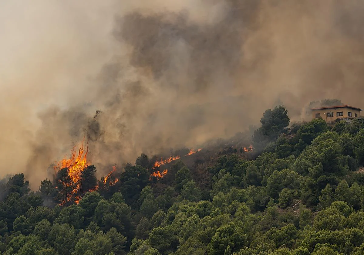 The uncontrolled fire already besieges 170,000 people throughout Spain