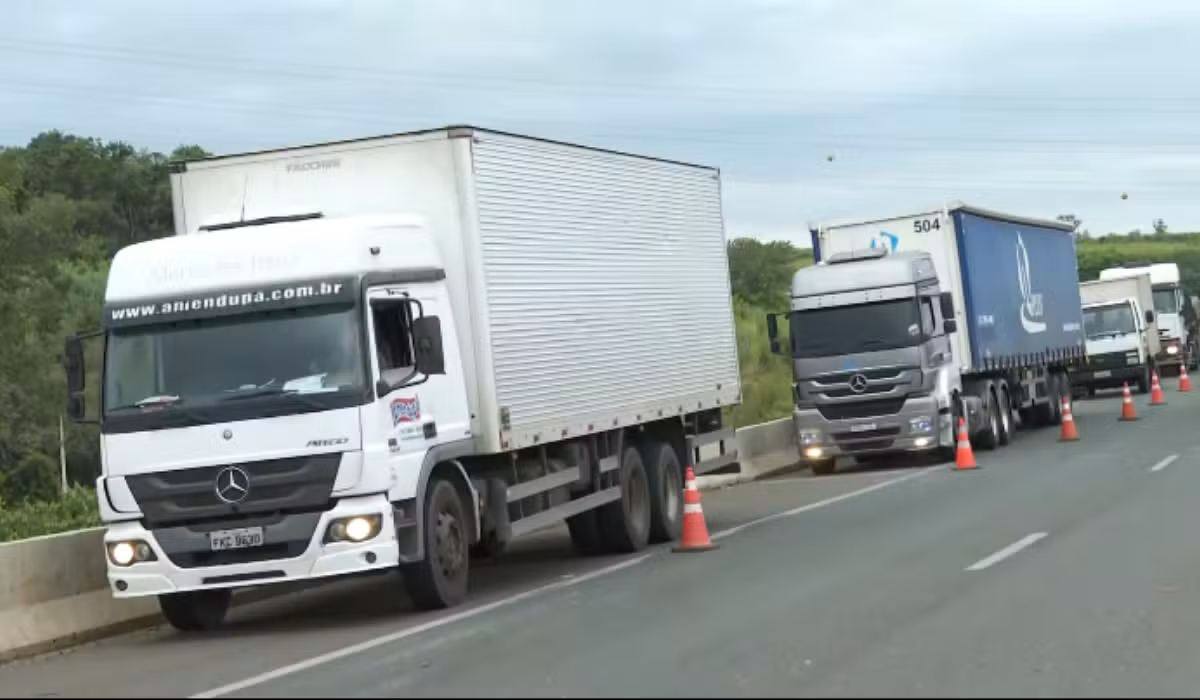 Senate approves MP with new rules for road freight