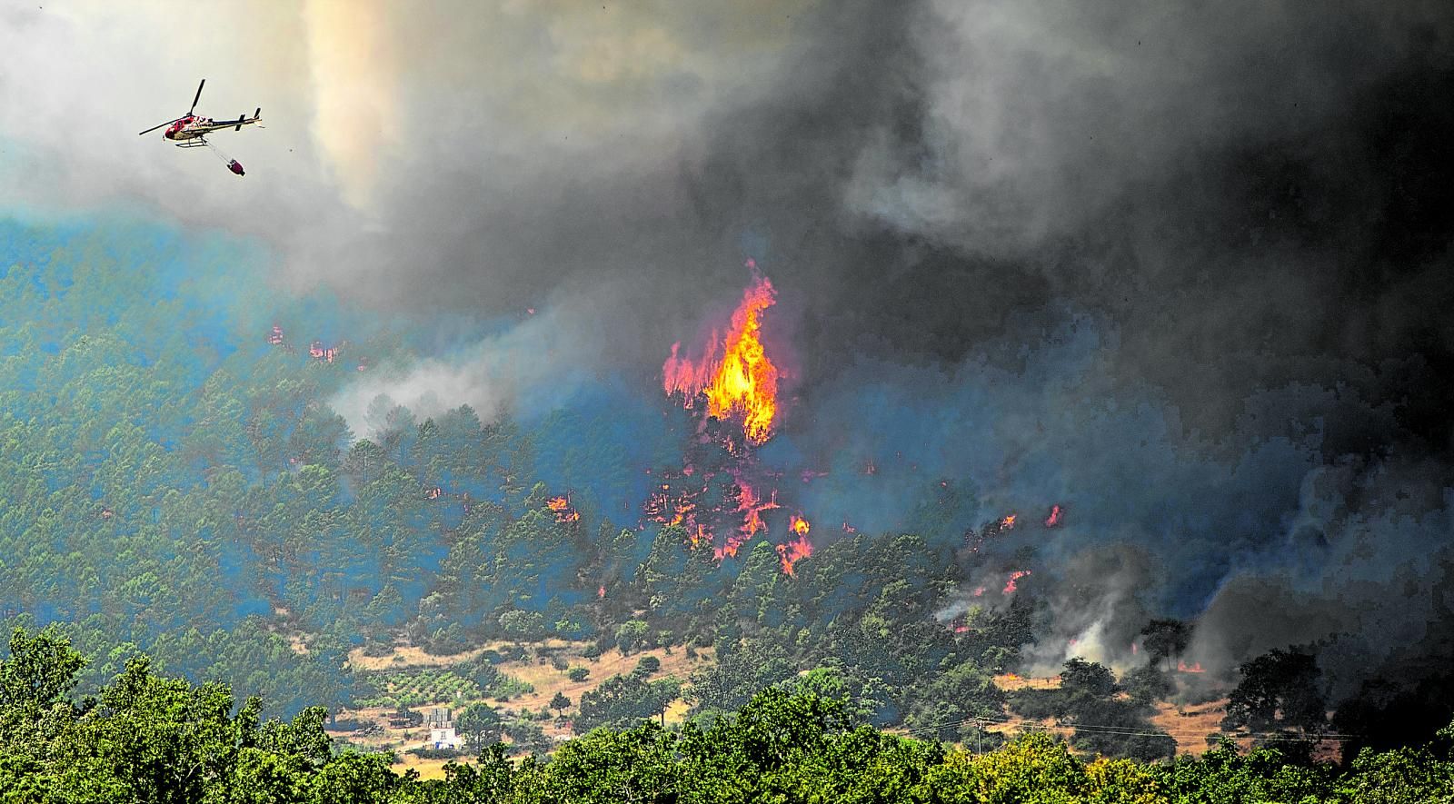 More than 60,000 affected by the voracious fire in Madrid and Avila