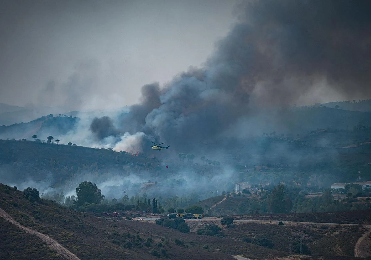 The Fog Fire does not evolve at night and allows the return of 114 evicted