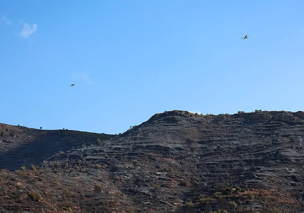 The Calderon fire, stabilized after burning more than 630 hectares