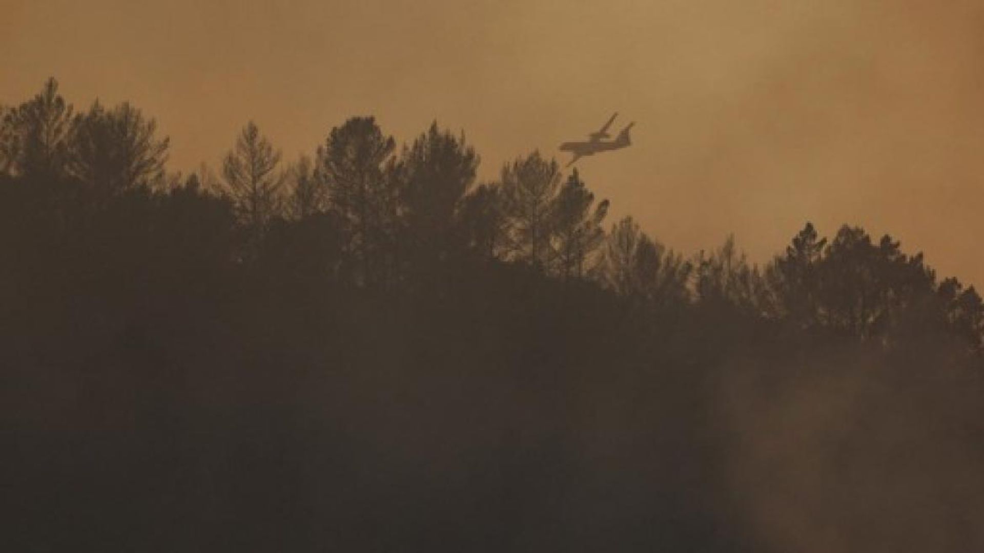 Forest fires in France: the fire of Gros Bessillon, in the Var, fixed after 18 days of mobilization