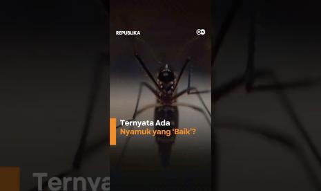 Turns out there are mosquitoes that are good and do not harm humans