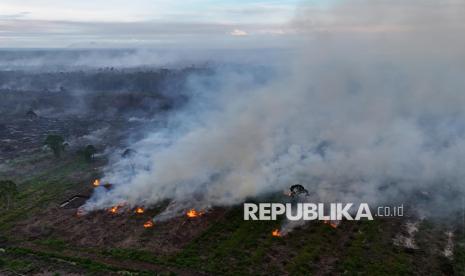 BPBD recorded 37 forest and land fire incidents across the province