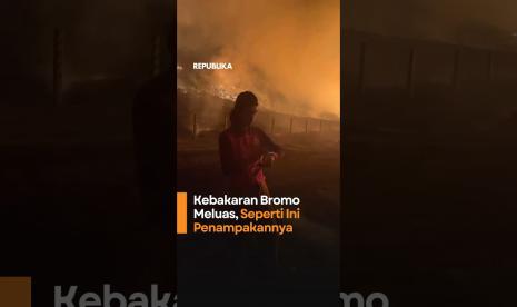 Republika Online