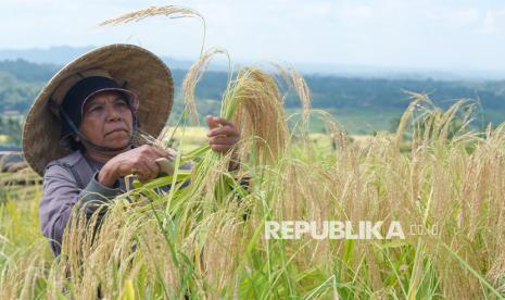 Food Diversification Campaign