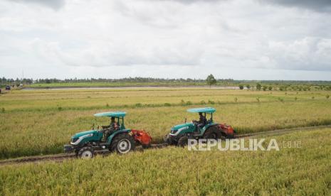 Bapanas ensures rice IPH remains under control with stock of 5.2 million tons.