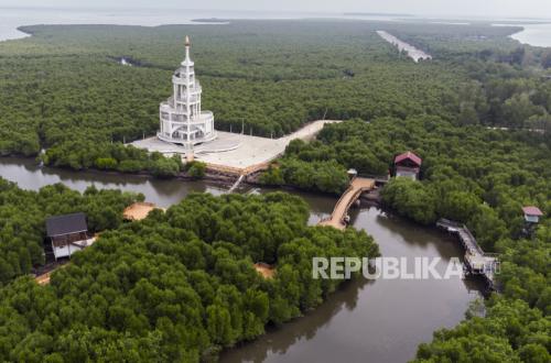 Two Billion Trees for Aceh, a Wealth We Never Counted