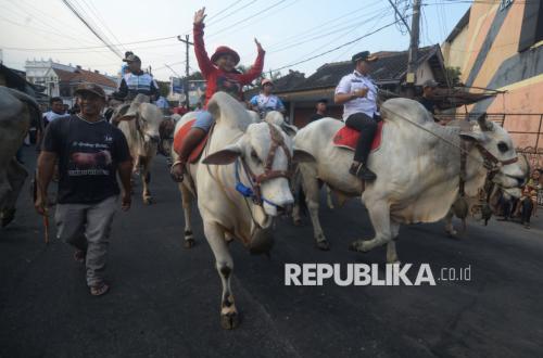 Republika