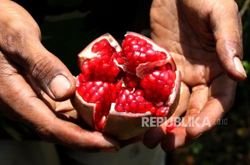 Natural Glowing Skin Secret, Benefits of Pomegranate for Cell Regeneration