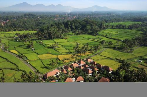 Bali Bans Unauthorized Running Events Following Case of Allegedly Racist Foreigner Community