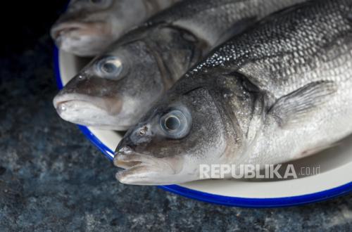 Nutrition Expert Reveals Benefits of Snakehead Fish for Postpartum Maternal Recovery