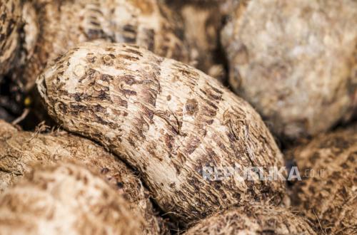 Viral Ibu Kimpul, Transforms Processed Kimpul into Various Trendy Foods