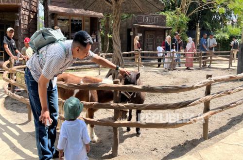 Pony Park Becomes a New Tourist Destination in Klaten, Visitors Can Interact with Animals