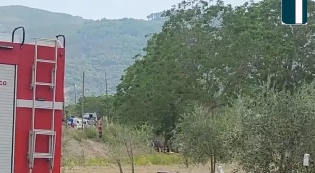 A car against a platano, a 11-year-old girl dies, very serious sister
