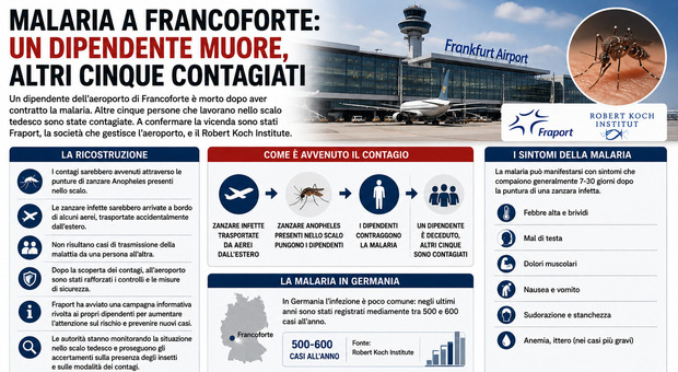 Malaria at Frankfurt Airport, 1 dead and 5 cases among employees: strengthened controls