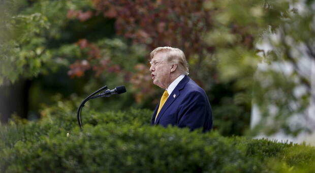 'Trump suspends visa requests for immigrants worldwide'