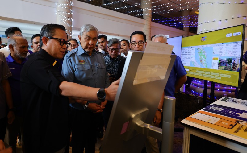 Zahid sees 88 per cent early voting turnout as positive sign