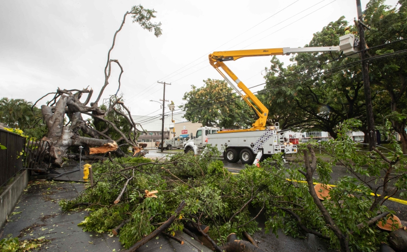 Tropical Storm Lala drenches Hawaii as flash floods sweep away Big Island homes