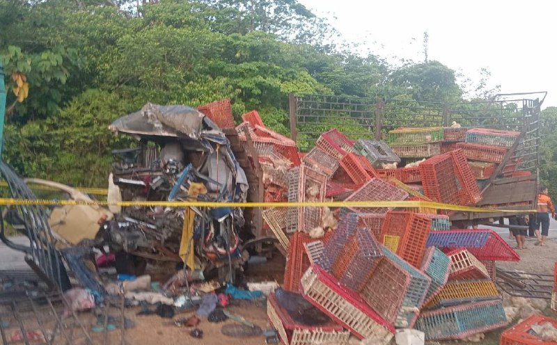 Three die after chicken lorry crashes into parked trailer