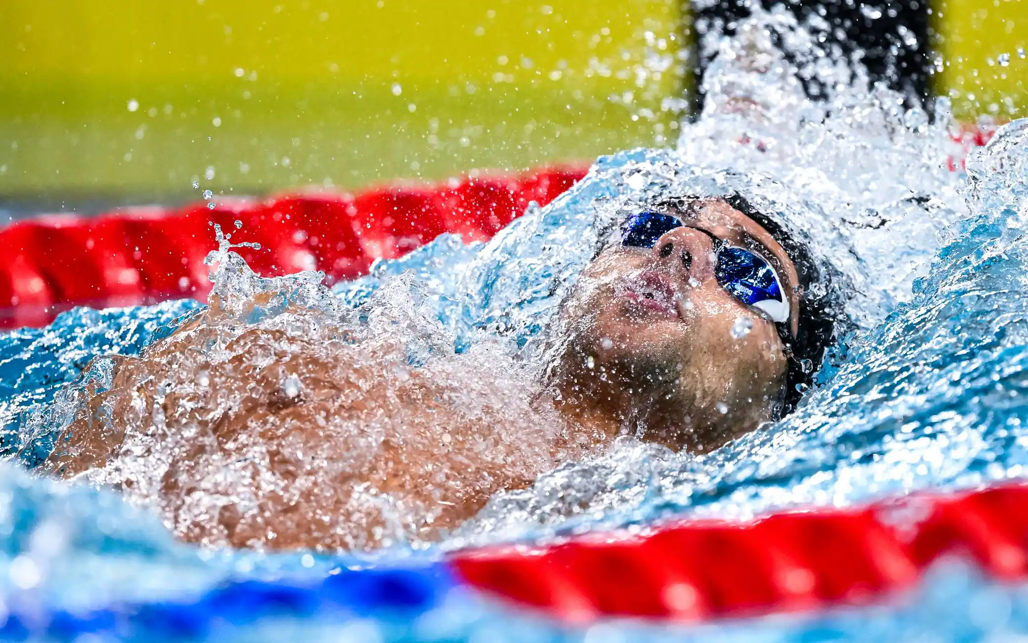 European swimming, the results of Italians: Bronze Ceccon in 200 back