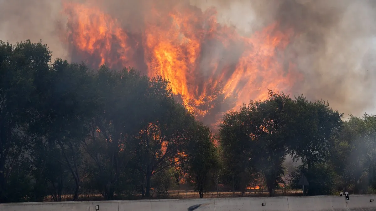 The Government declares the national emergency in the Community of Madrid and in Avila by fire