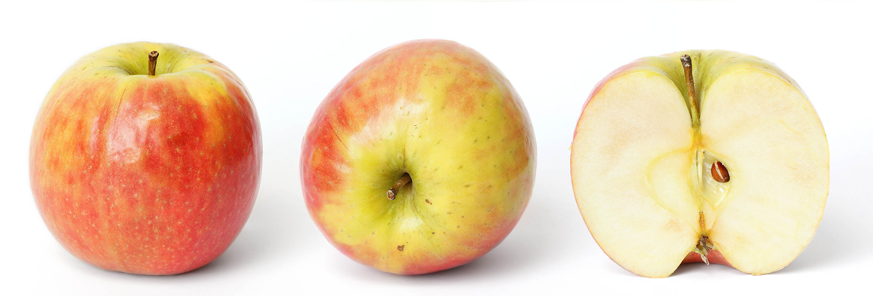 The update introduces a range of new capabilities, with Apple confirming which iPhone models will receive the upgrade