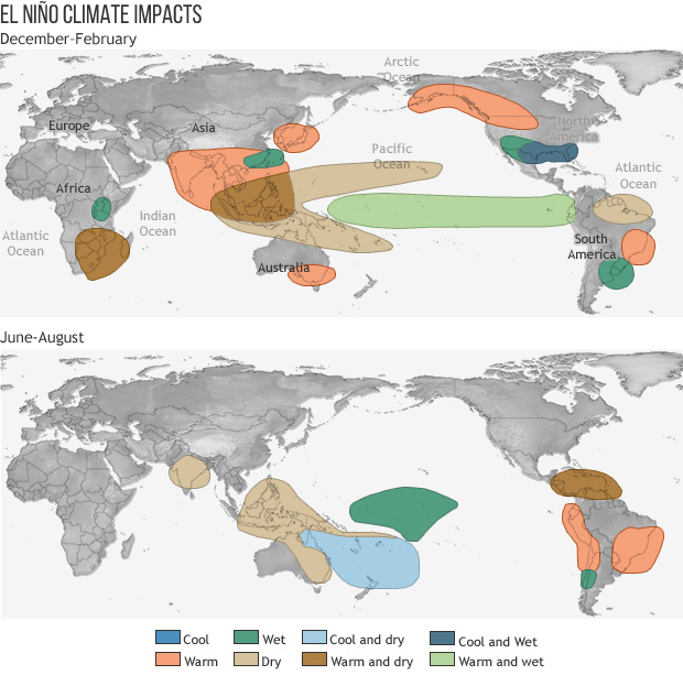 Trade Ministry: Bad weather and El Nino trigger rise in cocoa prices