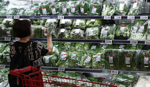 Consumer prices rose 2.8% in July, slowing for first time in three months, but core inflation hit 2.6%