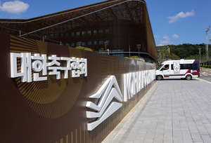 A 2016 government audit says the Korea Football Association used corporate cards for adult venues between March 2011 and March 2012