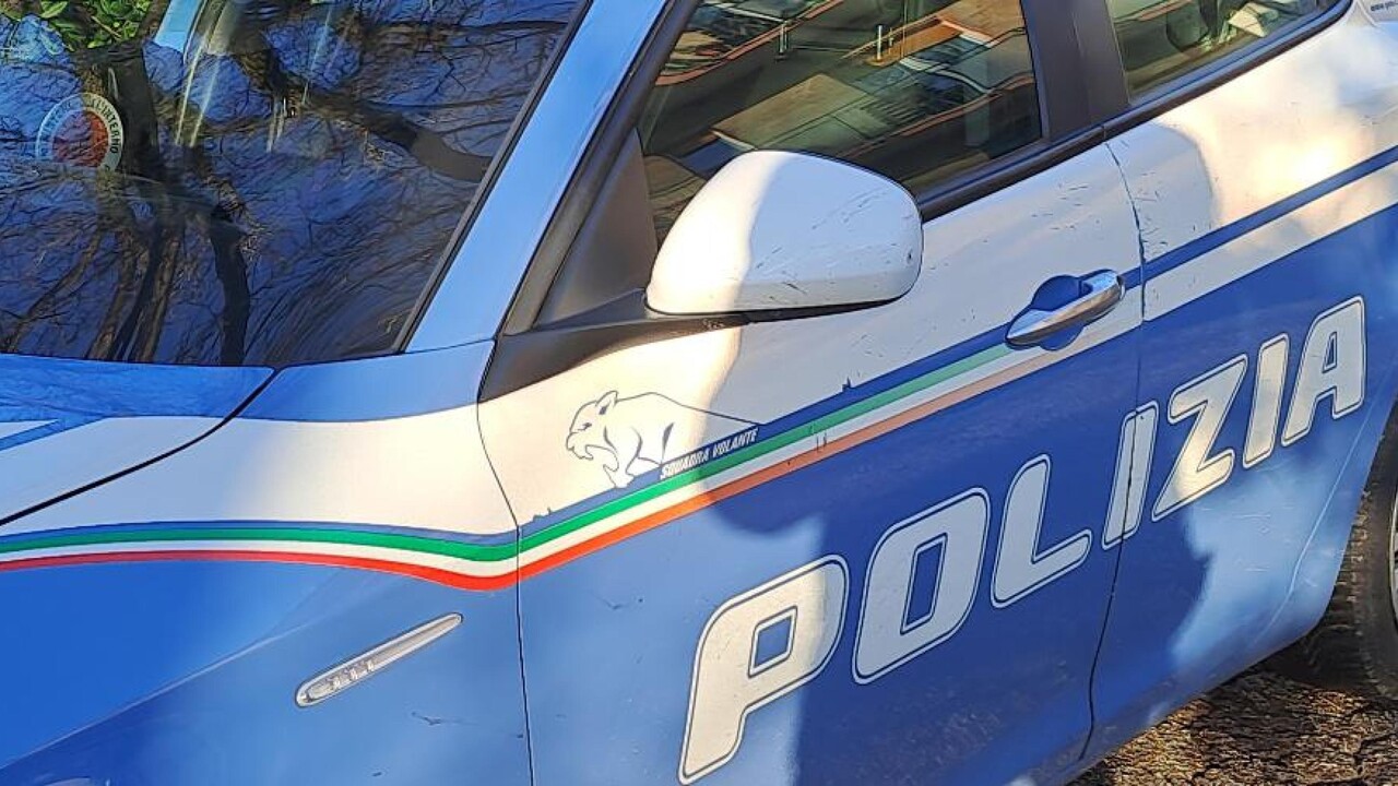 ANSA - Cronaca