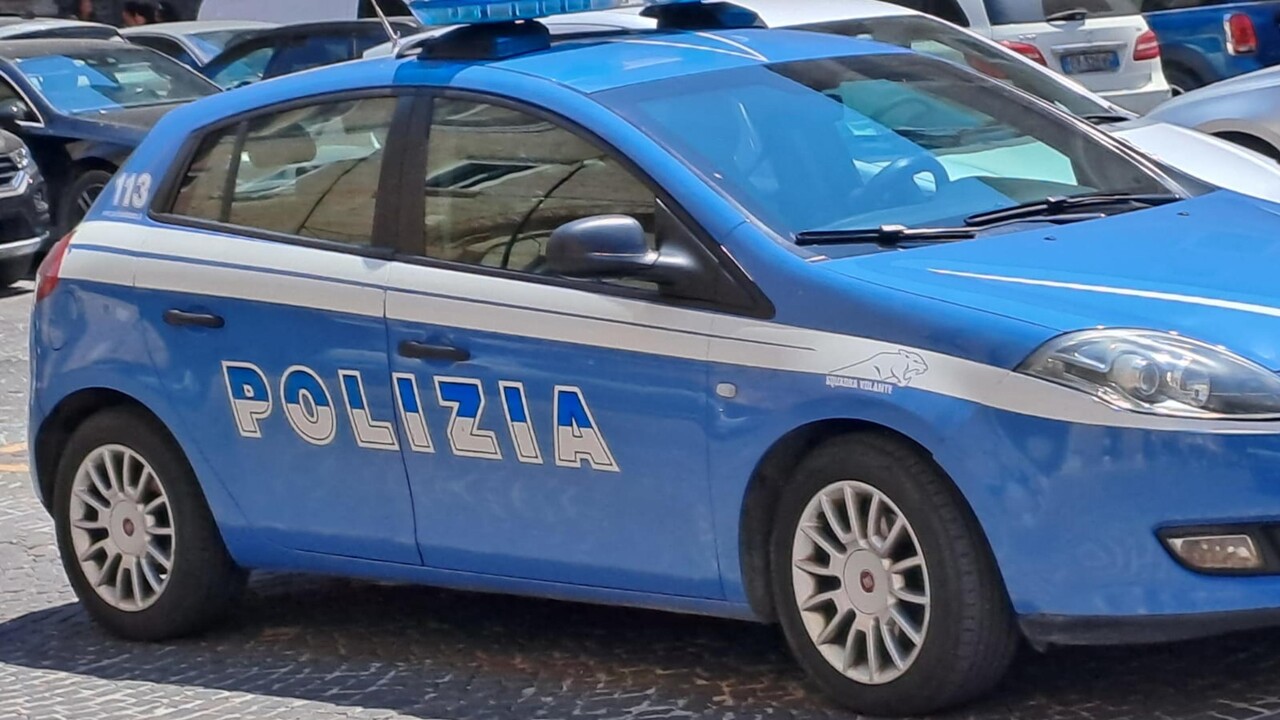 ANSA - Cronaca