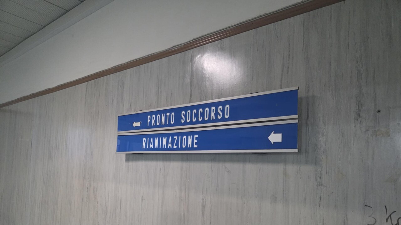ANSA - Cronaca