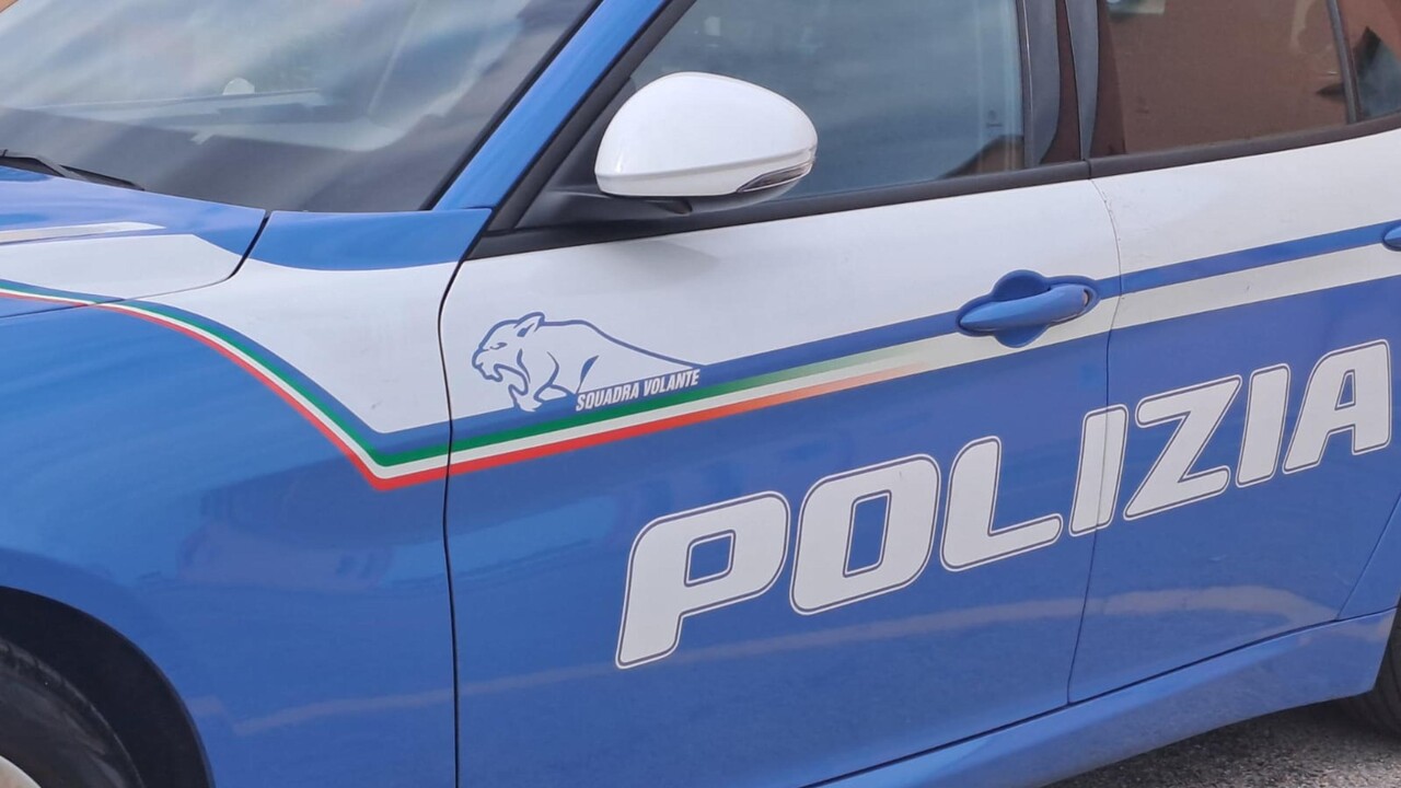 ANSA - Cronaca