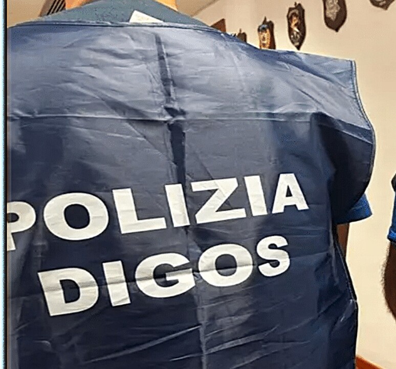 ANSA - Cronaca
