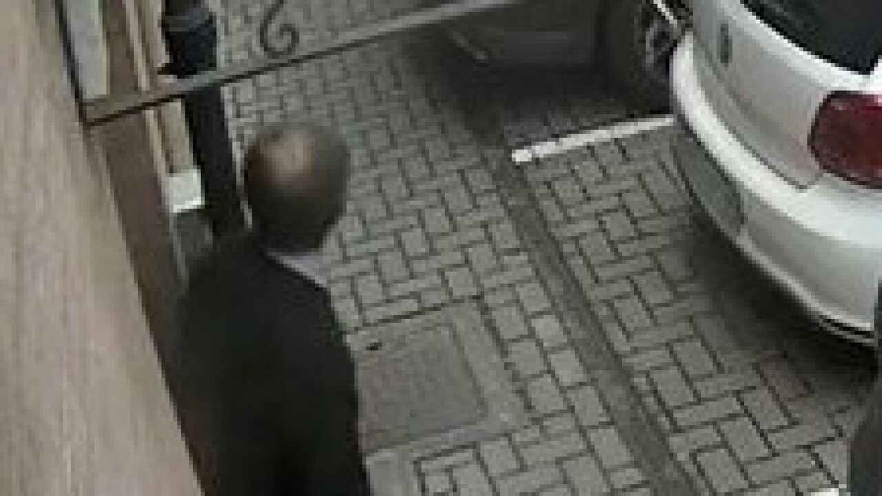 ANSA - Cronaca