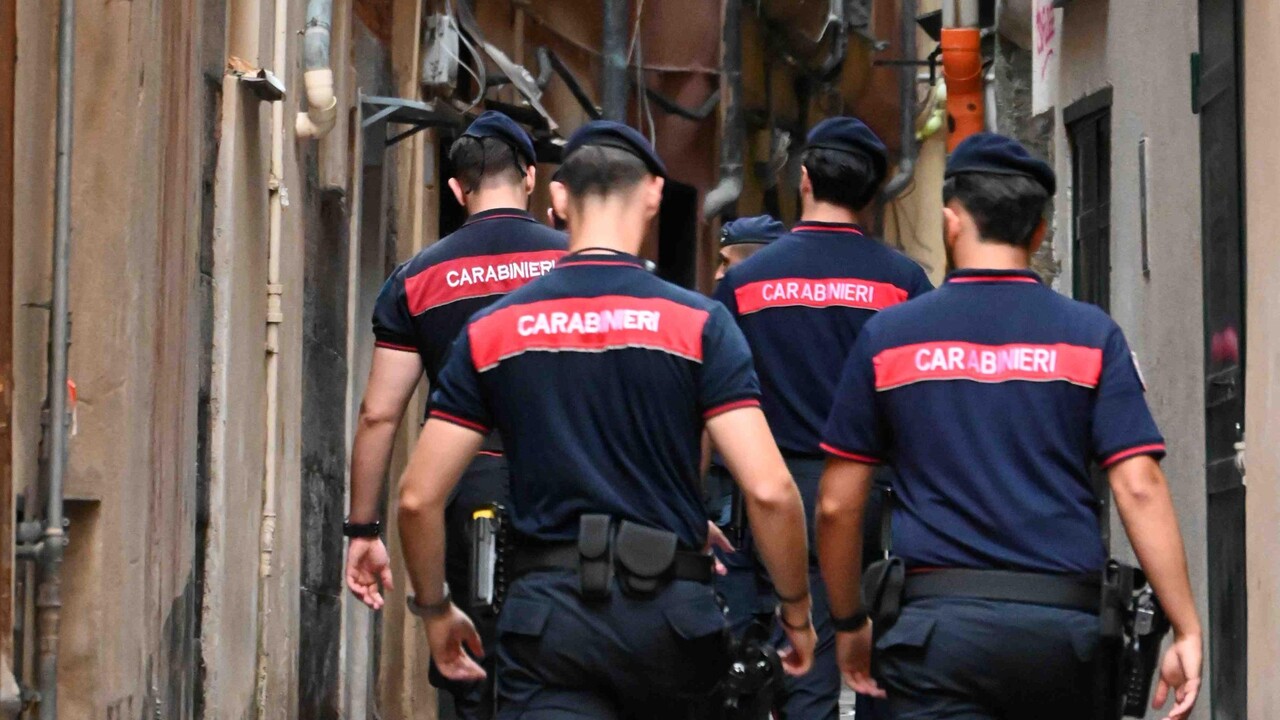 ANSA - Cronaca