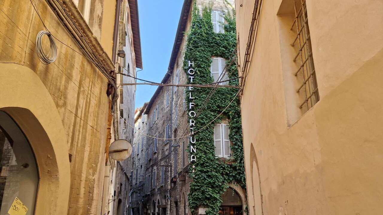 ANSA - Cronaca