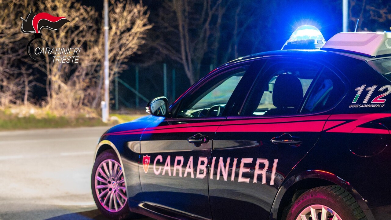 ANSA - Cronaca