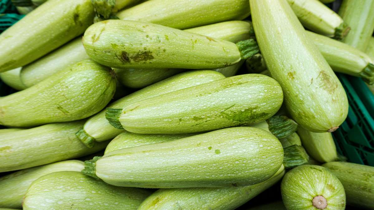 Storage of zucchini: These typical mistakes spoil the vegetables quickly